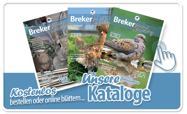 Breker Online Kataloge